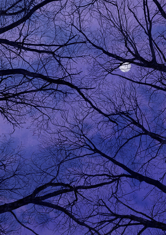 moonlit trees - art print