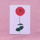 postcard 5 pack - flora