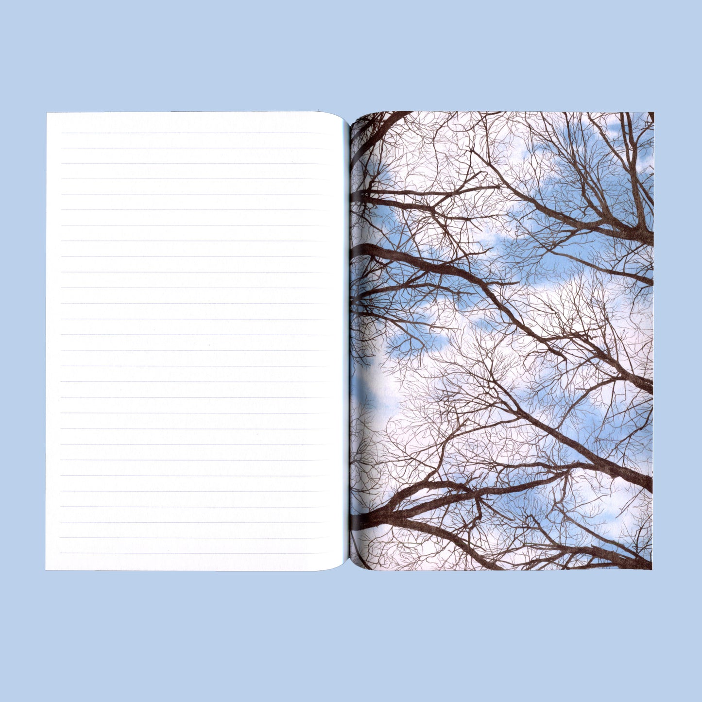 contemplations - guided journal