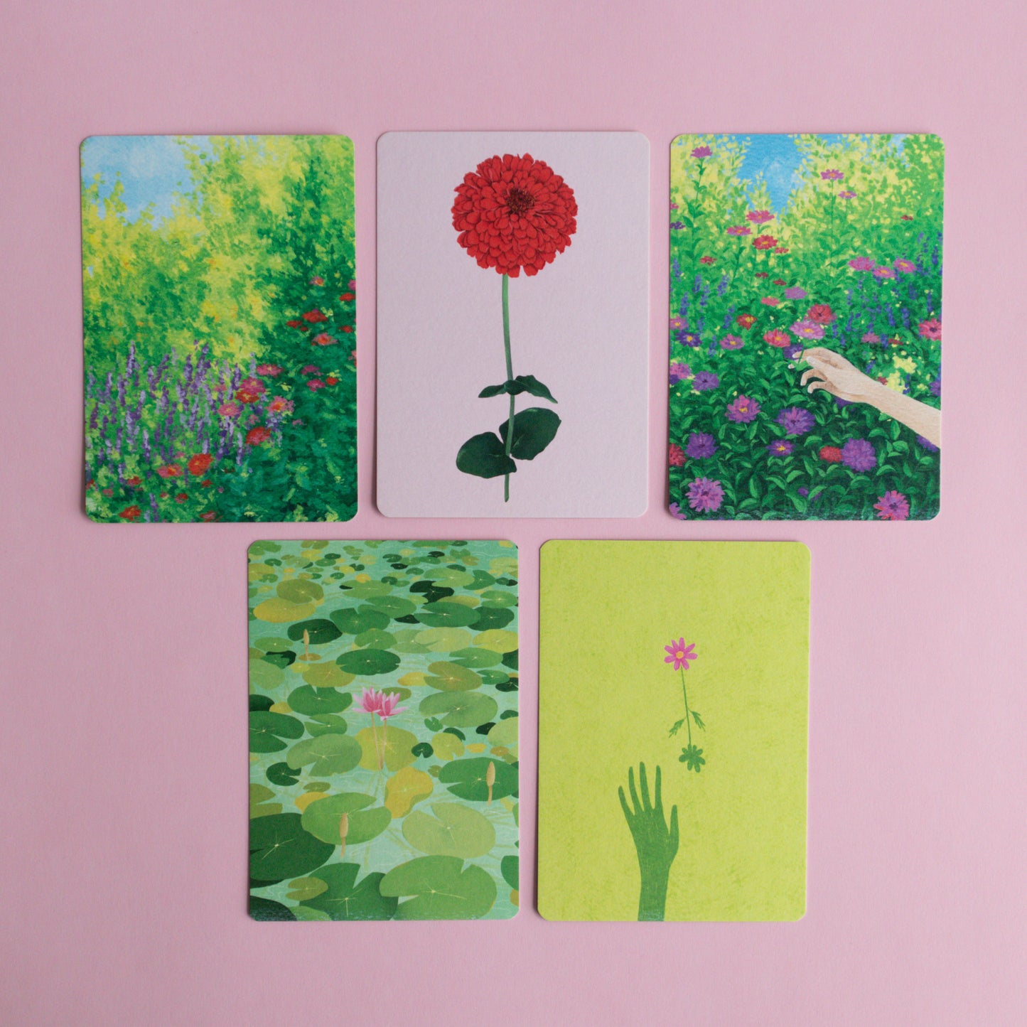postcard 5 pack - flora