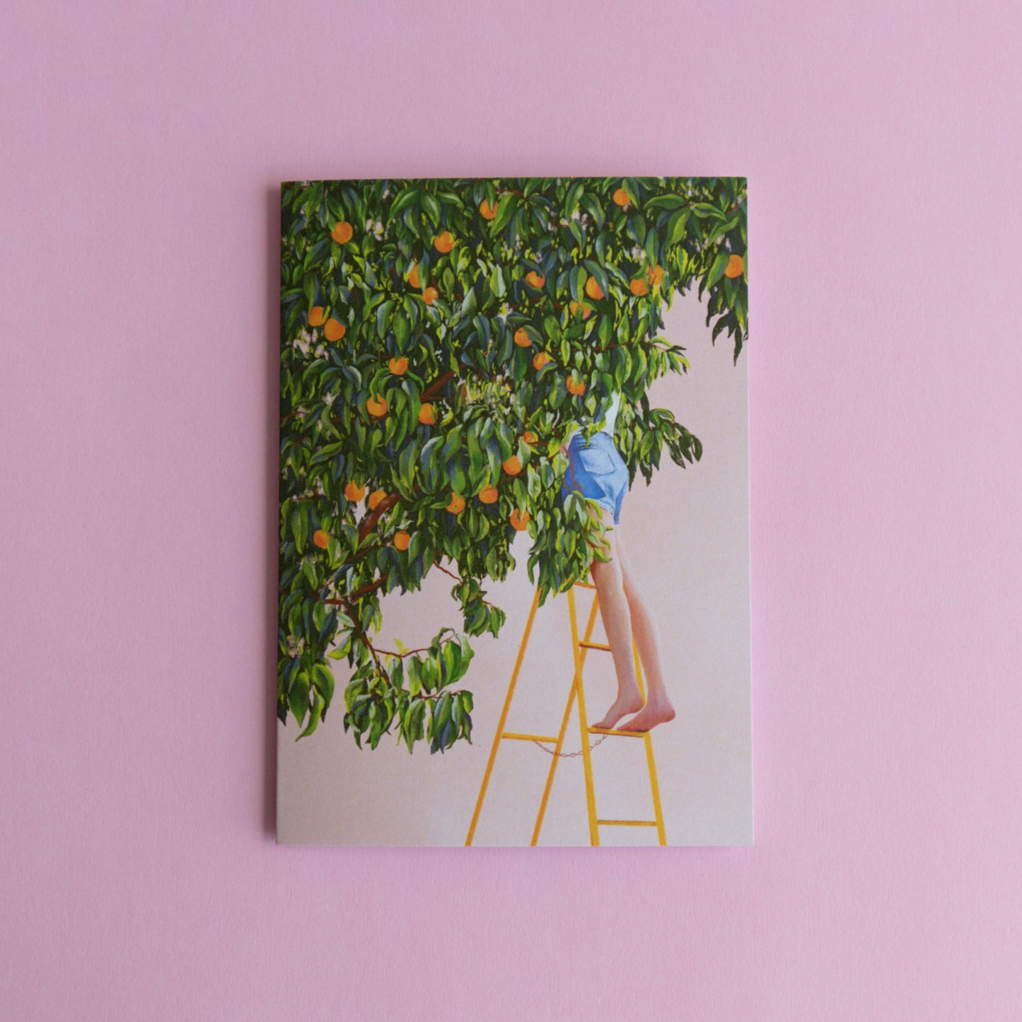 greeting card - in the peach tree