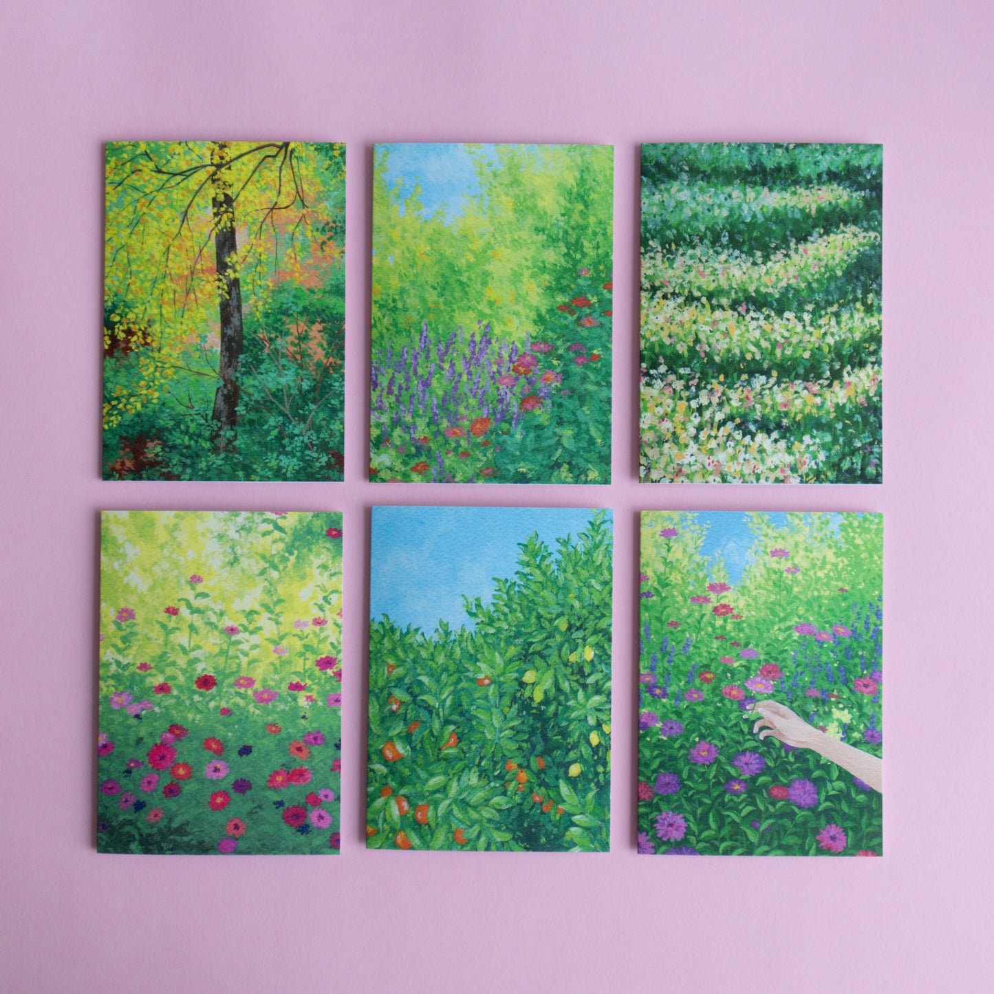 greeting card 6 pack - painterly