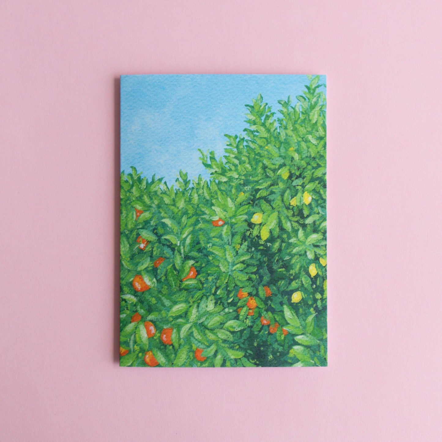 greeting card - citrus and sky
