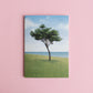 greeting card 6 pack - contemplations