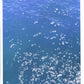 sparkling waters - art print