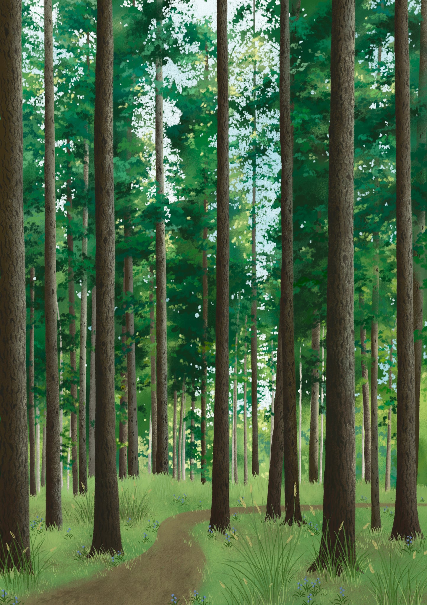 path through the forest - art print