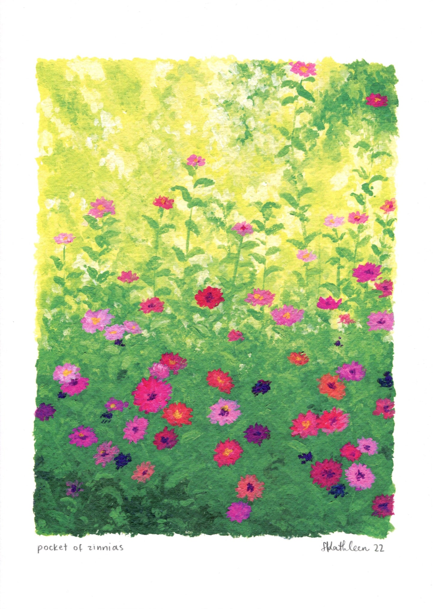 pocket of zinnias - art print